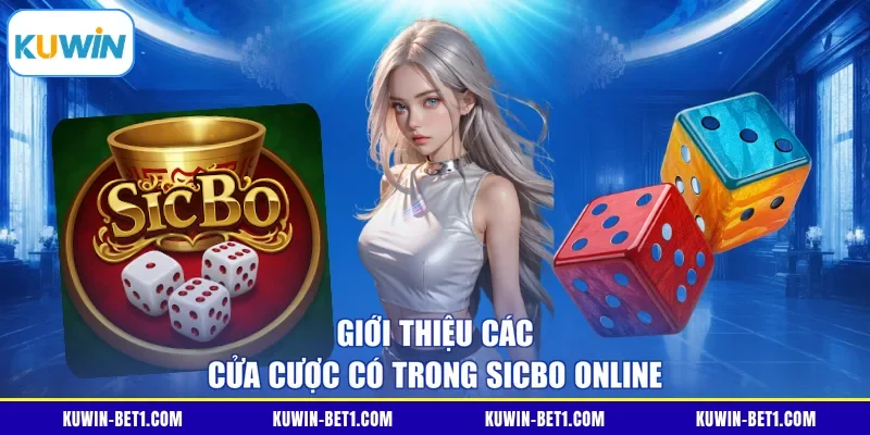 Giới thiệu các cửa cược có trong Sicbo online 