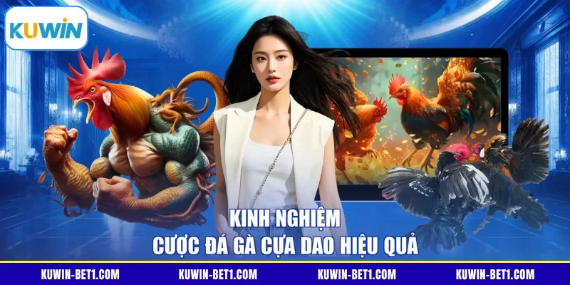 Kinh nghiệm cược đá gà cựa dao hiệu quả