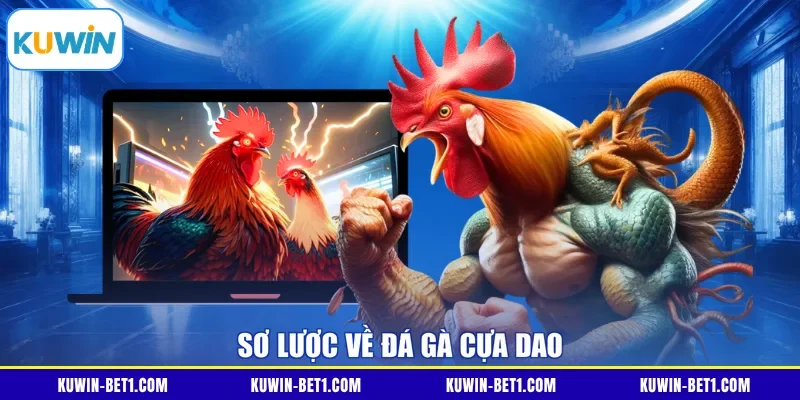Sơ lược về đá gà cựa dao